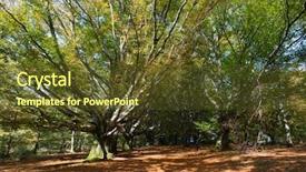  Presentation with tree sky trees green - Colorful presentation enhanced with gargan in the french limousin backdrop and a tawny brown colored foreground