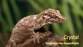  Presentation with branch - Audience pleasing PPT theme consisting of gargoyle gecko on a dead backdrop and a tawny brown colored foreground
