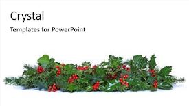  Presentation with holly - Slide deck enhanced with garland made from fresh holly background and a white colored foreground