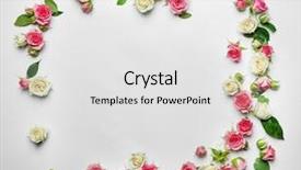  Presentation with pink and white roses shabby chic country - PPT layouts featuring garland marriage - assorted roses heads on white background and a light gray colored foreground