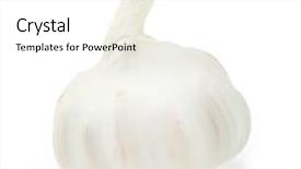  Presentation with herbal medicine garlic - Presentation design consisting of healht - garlic allium sativum has background and a white colored foreground