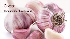  Presentation with garlic garlic garlic bulb - PPT theme enhanced with garlic bulb and garlic cloves background and a lemonade colored foreground