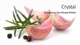  Presentation with clove - PPT theme with garlic clove and rosemary leaf background and a sky blue colored foreground