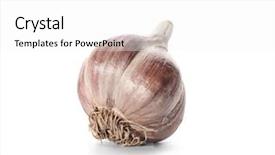  Presentation with garlic - Colorful PPT theme enhanced with garlic head on white background backdrop and a white colored foreground
