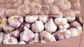  Presentation with garlic - Beautiful presentation theme featuring garlic-market-in-forcalquier-provence backdrop and a coral colored foreground