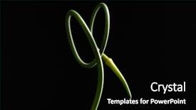  Presentation with black corporate women - PPT theme consisting of garlic scape on black background background and a black colored foreground