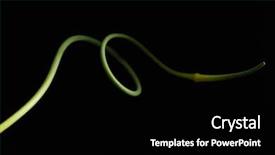  Presentation with twinkling stars art black - PPT layouts featuring garlic scape on the black background and a black colored foreground