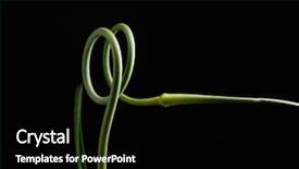  Presentation with black hvac - Amazing PPT layouts having garlic scape on the black backdrop and a black colored foreground