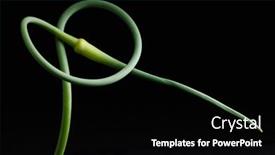  Presentation with garlic - Presentation design consisting of garlic-scape-on-the-black background and a black colored foreground