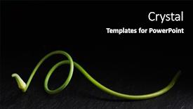  Presentation with garlic - Slide deck consisting of garlic-scape-on-the-black background and a black colored foreground