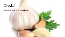  Presentation with garlic - Amazing presentation design having garlic with leaves of parsley backdrop and a pink colored foreground