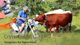  Presentation with european union - 