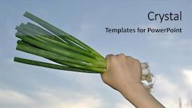  Presentation with gastro - Cool new presentation with gastro - person holding a green onion backdrop and a light blue colored foreground