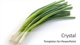  Presentation with gastro - Cool new PPT theme with automobile - fun clown backdrop and a light gray colored foreground