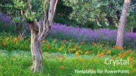  Presentation with summer trees - PPT layouts with gaudi - colorful spring summer park background and a tawny brown colored foreground