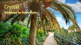  Presentation with tropical flowers - Amazing PPT theme having gaudi - tropical palm trees among green backdrop and a tawny brown colored foreground