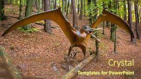  Presentation with realistic - 