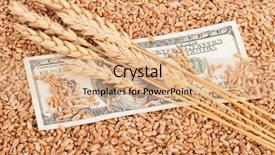  Presentation with gdp - PPT layouts consisting of gdp - agricultural income concept background and a coral colored foreground