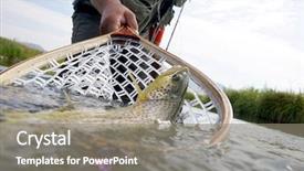  Presentation with fishing gear - Theme with gear - brown trout being caught background and a gray colored foreground