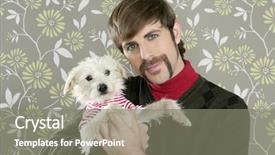  Presentation with geek - Colorful presentation theme enhanced with hands with dustpan and brush floor sweeper over white background house cleaning work backdrop and a lemonade colored foreground