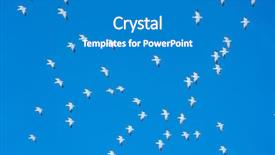  Presentation with law blue sky scales of justice - PPT layouts enhanced with geese - crowd snow goose fly background and a teal colored foreground