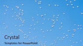  Presentation with law blue sky scales - Beautiful PPT layouts featuring geese - crowd snow goose fly backdrop and a light blue colored foreground