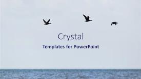  Presentation with geese flying - Presentation featuring geese-flying-above-the-sea background and a sky blue colored foreground