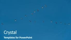  Presentation with geese flying - Colorful slides enhanced with geese-flying-in-the-blue backdrop and a ocean colored foreground