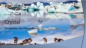  Presentation with geese - Slide set with geese grazing on the lagoon background and a light blue colored foreground