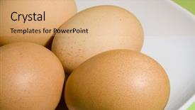  Presentation with green plate - Beautiful presentation featuring genesis - eggs on fresh green background backdrop and a coral colored foreground