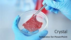 Presentation with genetic - Presentation theme enhanced with genetic - scientist inspecting meat sample background and a light blue colored foreground