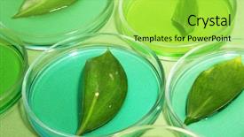  Presentation with genetically - Presentation featuring genetic dna - genetically modified leaves tested background and a yellow colored foreground