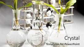  Presentation with biotechnology - Amazing PPT theme having genetic engineering - biotechnology backdrop and a lemonade colored foreground