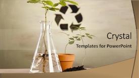  Presentation with test tubes - PPT theme featuring genetic engineering - close-up of plants in test background and a soft green colored foreground