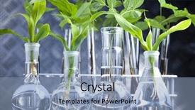  Presentation with genetic - Presentation design consisting of genetic engineering - ecology laboratory experiment background and a light blue colored foreground