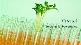  Presentation with genetic lab - Presentation theme consisting of genetic engineering - experiment with green seedlings background and a soft green colored foreground