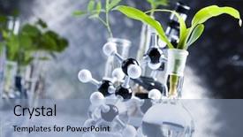  Presentation with genetic - Colorful slides enhanced with genetic engineering - laboratory glass backdrop and a light blue colored foreground