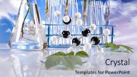  Presentation with laboratory animals - Audience pleasing theme consisting of genetic engineering - laboratory on sky background backdrop and a lemonade colored foreground