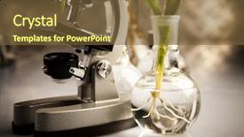  Presentation with laboratory - Beautiful slide deck featuring genetic engineering - laboratory backdrop and a tawny brown colored foreground