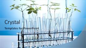  Presentation with plant genetic engineering - Slide deck featuring genetic engineering - plant laboratory background and a light blue colored foreground