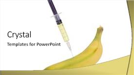  Presentation with syringe - PPT theme with genetic manpulition - banana being injected background and a white colored foreground