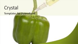  Presentation with green chemistry reaction formula - Presentation theme having genetic manpulition - green bell pepper being injected background and a blonde colored foreground