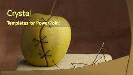  Presentation with genetically modified food - Slide deck consisting of gray candle with yellow sunflower on white background background and a white colored foreground