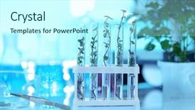  Presentation with blurred plants - Slide deck enhanced with genetic selection - plants in test tubes background and a  colored foreground