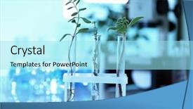  Presentation with blurred plants - Amazing theme having genetic selection - plants in test tubes backdrop and a  colored foreground