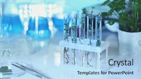  Presentation with blurred plants - PPT layouts with genetic selection - plants in test tubes background and a  colored foreground