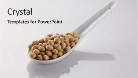  Presentation with soy bean - Presentation theme featuring genetic selection - stock image of the spoon background and a  colored foreground