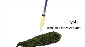  Presentation with bitter melon - Theme consisting of genetica hormonios - bitter melon being injected background and a white colored foreground