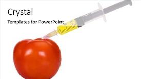  Presentation with syringe - PPT layouts consisting of genetica hormonios - tomato being injected background and a white colored foreground