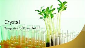  Presentation with genetically modified food - Presentation design featuring genetically modified food - experiment with green seedlings background and a soft green colored foreground